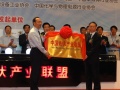 中國(guó)光伏產(chǎn)業(yè)聯(lián)盟成立大會(huì)在常州舉行