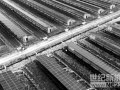 安徽省廬江縣光伏農(nóng)業(yè)示范園帶動(dòng)農(nóng)業(yè)產(chǎn)業(yè)轉(zhuǎn)型升級(jí)