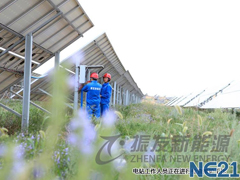 寧夏中衛(wèi)光伏電站項(xiàng)目