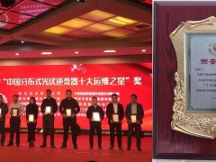 古瑞瓦特榮獲“2018中國(guó)分布式光伏逆變器十大運(yùn)維之星獎(jiǎng)”