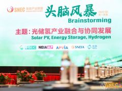 新年展新“綠”，“綠電”制氫加速！ SNEC氫能產(chǎn)業(yè)聯(lián)盟2022(第一季度)頭腦風(fēng)暴隆重舉行