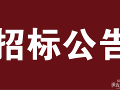 招標(biāo) | 1.79億！氫燃料車(chē)重大招標(biāo)！
