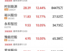 光伏大爆發(fā) 原因找到了！