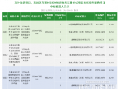 中標(biāo) | 國(guó)投512.59MW組件采購(gòu)：一道、隆基、通威、晶科4企入圍！
