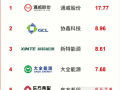 超50萬(wàn)噸！2023上半年多晶硅出貨量TPO5榜單出爐