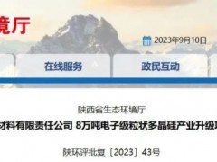 投資近百億！年產(chǎn)8萬噸多晶硅項目公示