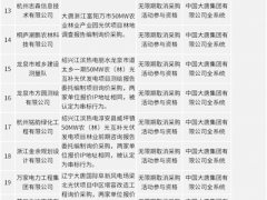 208家企業(yè)被永久拉黑！17家企業(yè)取消參與資格2-3年！大唐光伏供應(yīng)商黑名單公布（1-10批）！