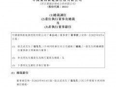 中廣核新能源總裁變更！