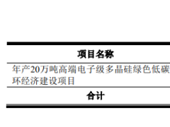 新特能源IPO：被低估的龍頭，背后站著“巨人”