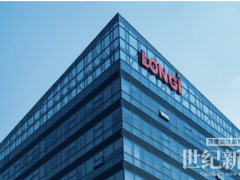 中國光伏路線進(jìn)化史：王不見王