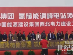 總投資350億 我國首個(gè)氫儲(chǔ)能調(diào)峰電站項(xiàng)目啟動(dòng)