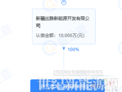 又一國(guó)有控股企業(yè)布局HJT電池及組件