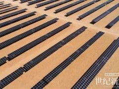晶澳科技：與“一帶一路”共贏十年