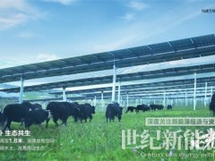 水光共舞，全球最大、海拔最高水光互補(bǔ)電站背后的“秘密”
