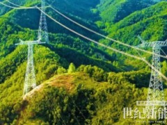 消納“綠電”，智慧電網(wǎng)胃口大