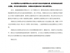 這家風(fēng)電開發(fā)商董事長(zhǎng)等7人集體辭職