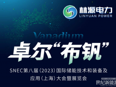 直擊展會 | SNEC儲能展火熱進行中 林源展臺科技璀璨！