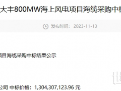 中天科技中標江蘇大豐800MW海纜采購項目