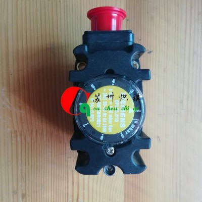 QPL25.150燃燒機(jī)壓力開(kāi)關(guān)QPL25.050差壓開(kāi)關(guān)