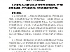美女掌門(mén)出手！改寫(xiě)光伏“獨(dú)角獸”結(jié)局