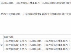 375.2MW風(fēng)電機(jī)組(含塔架)項(xiàng)目！電氣風(fēng)電預(yù)中標(biāo)