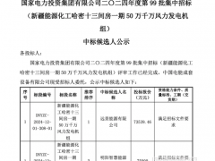國電投500MW風(fēng)電項目中標(biāo)候選人公示：遠(yuǎn)景、明陽入選