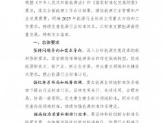 新增41個(gè)重點(diǎn)方向！國家能源局發(fā)布2025年能源標(biāo)準(zhǔn)立項(xiàng)指南