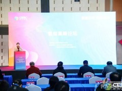 CESC2025平行活動 | 氫能產(chǎn)業(yè)創(chuàng)新發(fā)展交流會在寧召開
