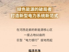 戈壁上的巨型"電力銀行"丨天合智慧能源集中式解決方案助力雙碳戰(zhàn)略破局