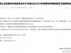 寧夏國資運營集團1GW風(fēng)光同場項目擬獲保障性指標