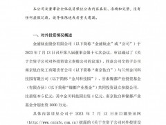金浦鈦業(yè)終止磷酸鐵項目