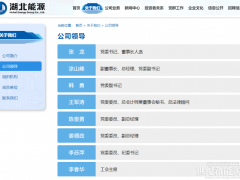 11家電力央國企“一把手”大調(diào)整