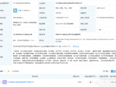 注資600萬！一國企成立兩家新能源公司