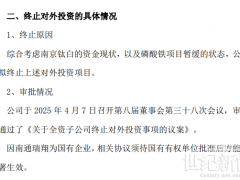 20萬噸鋰電項目慘遭撤資！