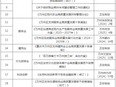 重慶萬州區(qū)：支持民營企業(yè)投建分布式光伏和儲能項目
