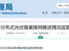 重磅！國家能源局通報11個省24項分布式光伏問題