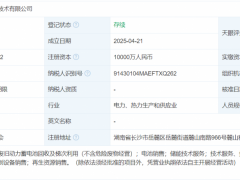 注資1億元！豐田聯(lián)手能源央企聯(lián)手成立儲能企業(yè)