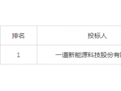 中標(biāo) | 0.704元/W！一道預(yù)中標(biāo)中石化水面光伏及綠電制綠氫雙面光伏組件\單晶610Wp項(xiàng)目