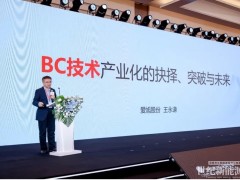 BC技術(shù)產(chǎn)業(yè)化的抉擇、突破與未來——愛旭首席科學(xué)家王永謙