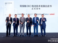全球首份權(quán)威報告！《BC電池技術(shù)發(fā)展白皮書》重磅發(fā)布