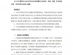 聚焦于新能源領(lǐng)域優(yōu)質(zhì)資產(chǎn)開發(fā)與投資！協(xié)鑫能科與專業(yè)投資機構(gòu)簽署戰(zhàn)略合作框架協(xié)議