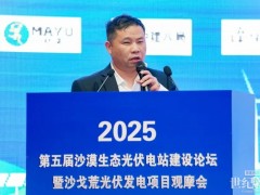 最優(yōu)性?xún)r(jià)比！一道新能光伏治沙出“新招”