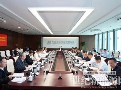 中國(guó)華能：“5.31”前新能源項(xiàng)目投產(chǎn)20GW