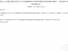 國內(nèi)碳一龍頭，中標金風首個商業(yè)化綠甲醇項目電解水T+EPC