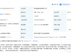 隆基青島成立一新公司