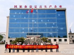 5.04MW微逆BIPV項(xiàng)目并網(wǎng)！昱能科技助力制鹽業(yè)綠色低碳轉(zhuǎn)型