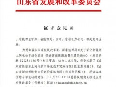 山東率先公布136號文實施細則！存量項目機制電價0.3949元/度，6月競價