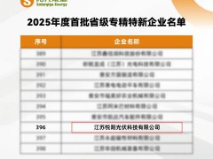 高光時(shí)刻 | 陽光能源悅陽基地榮膺2025年度首批省級(jí)專精特新企業(yè)