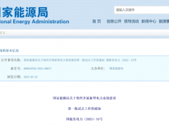 聚焦構(gòu)網(wǎng)型技術(shù)等7大方向，國家能源局啟動新型電力系統(tǒng)首批試點(diǎn)！