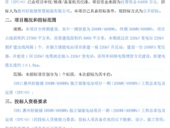 廣東300MW/600MWh獨立儲能電站一期EPC+O招標(biāo)